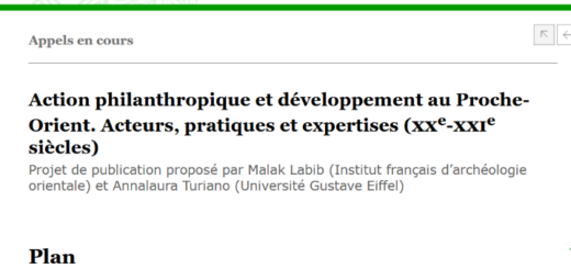 image de l'appel à contribution de la Remmm