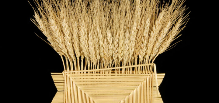 Bibelot-souvenir, porte-bonheur à suspendre en paille et épis de blé, aux environs de Belgrade, Serbie. Entré dans les collections en 1962. © Virginie Louis MNHN / photo Mucem / Virginie Louis